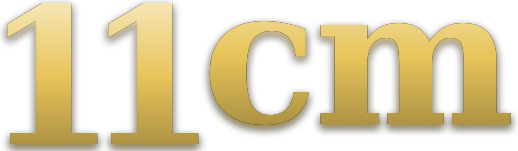 11cm logo